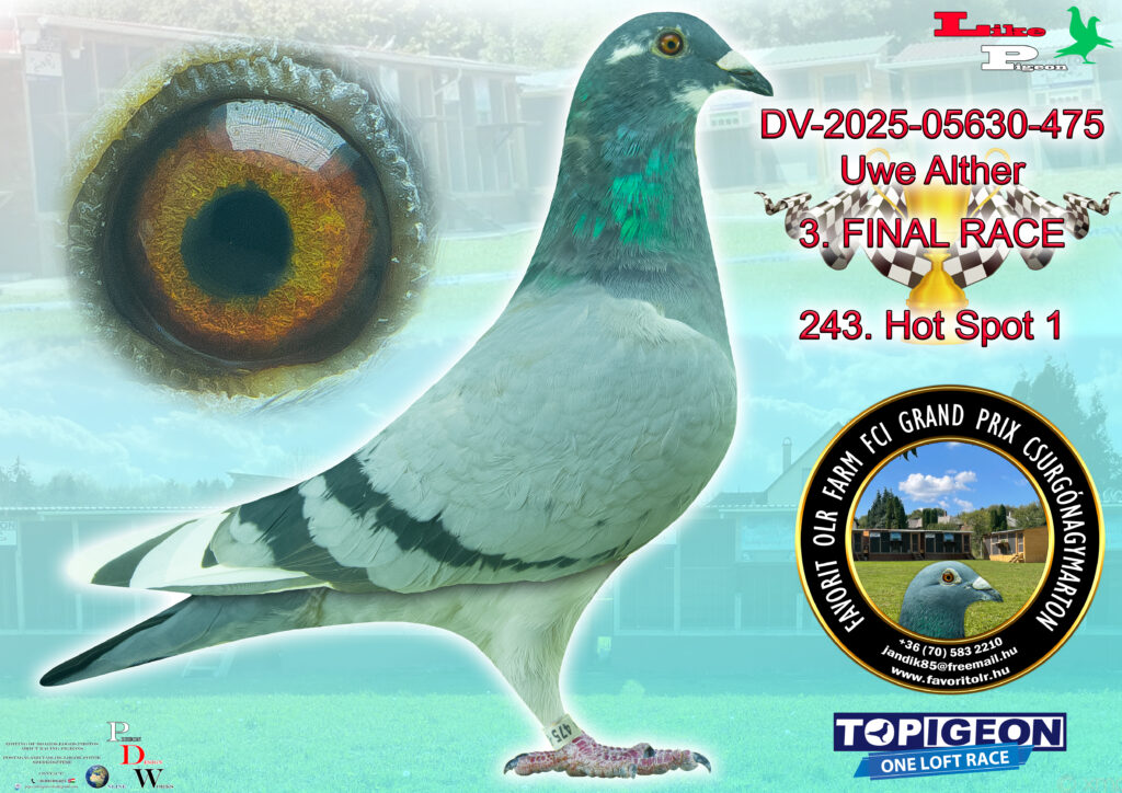 DV-2025-06723-475 Uwe Alther 3. FINAL RACE
