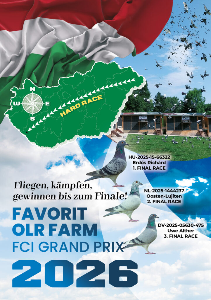 Favorit 2025 kiírás flyer DE a5 (1)