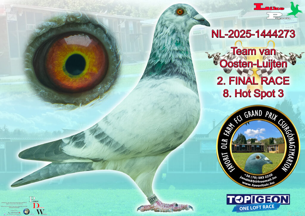 NL-2025-1444273 Team van Oosten - Luijten 2. FINAL RACE