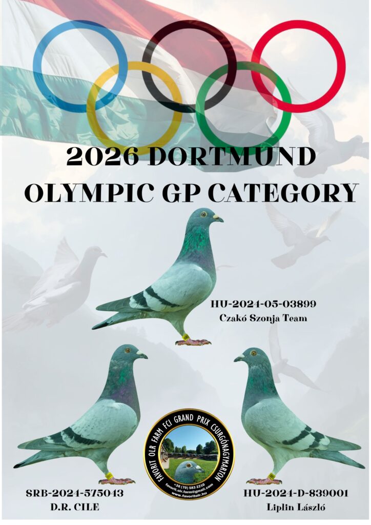 2024 Olympic