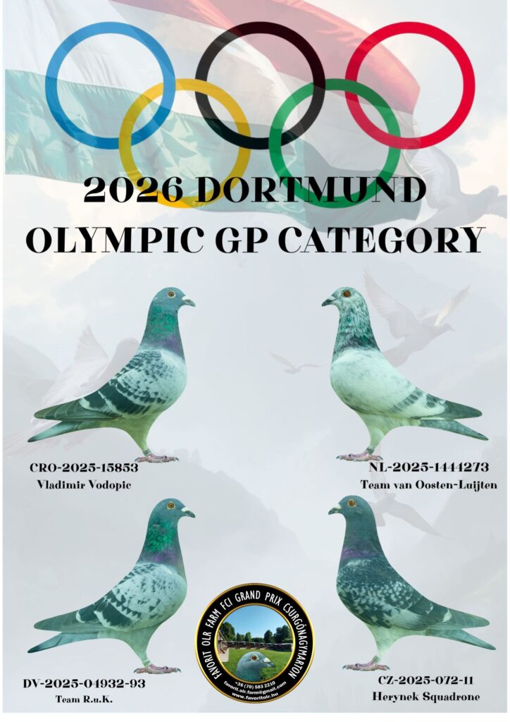 plakát 2025 Olympic